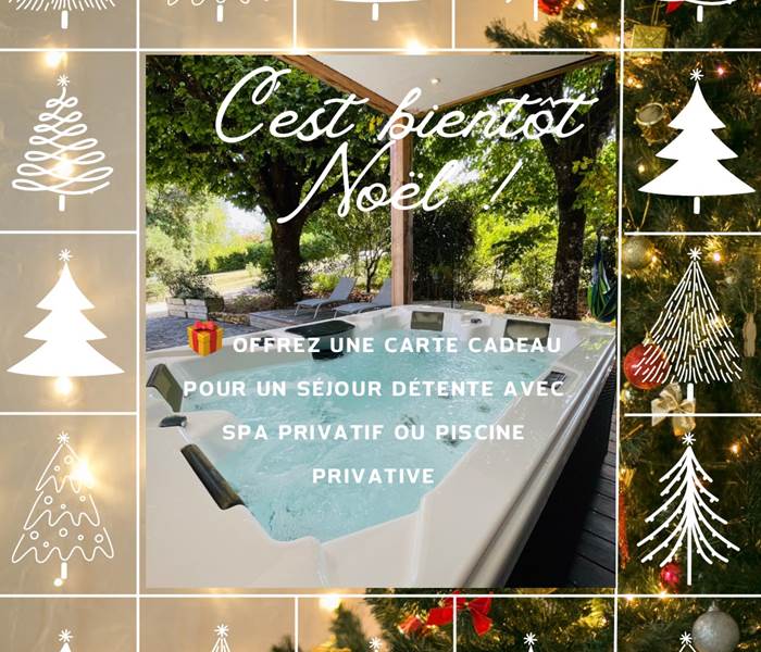 locationdevacances-spaprivatif-piscineprivative-cadeaudetente
