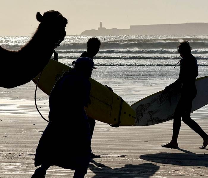 surf essaouira