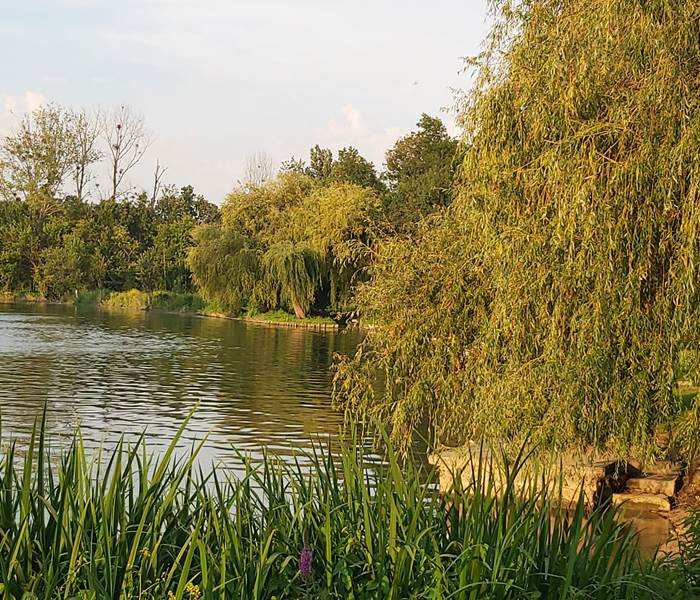 le port du Lys