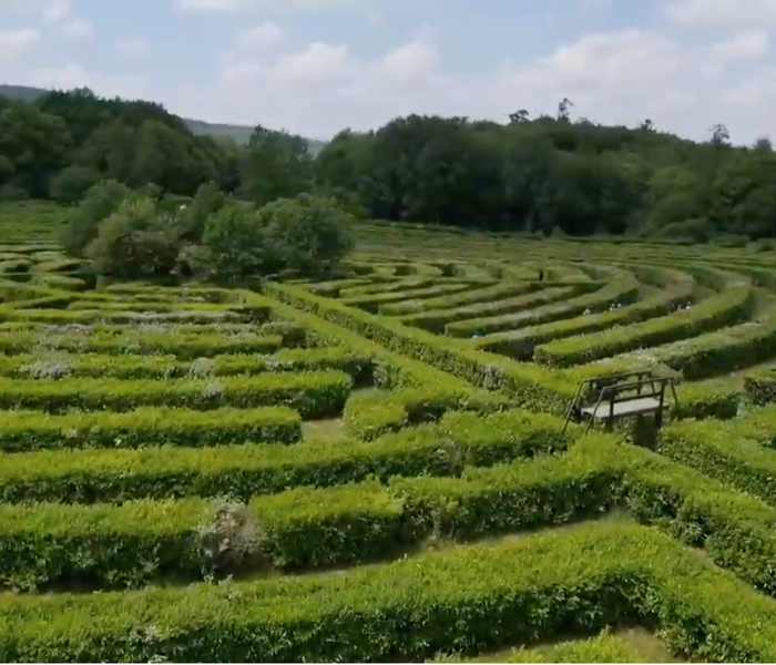 Labyrinthe Géant des Monts de Guéret