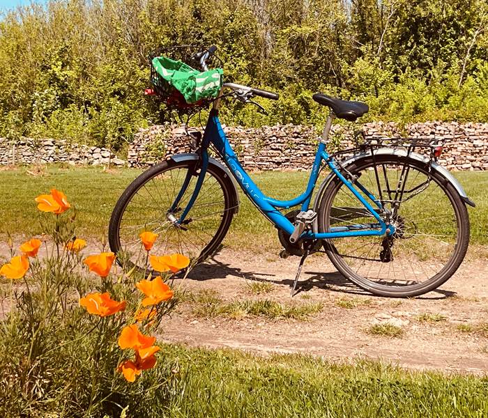 Balade en vélo