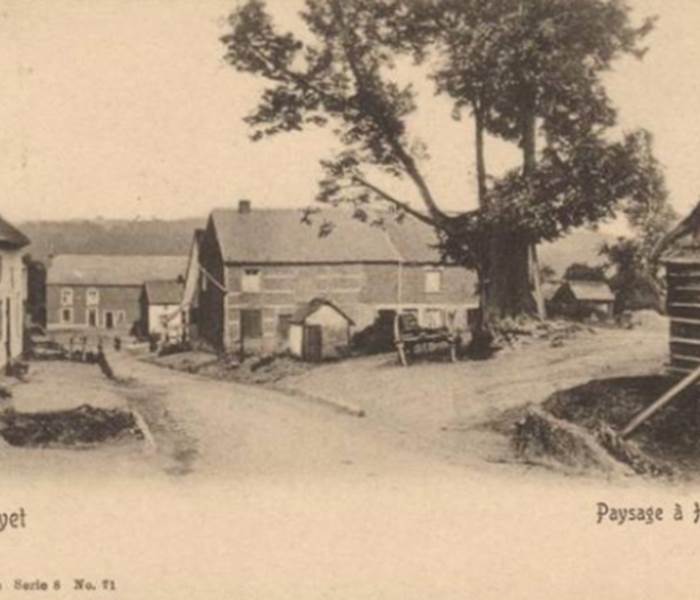 L'arbre de Ferage