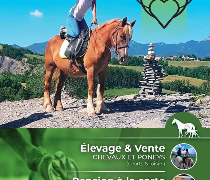 Ecuries les Pies du Sud - Rochebrune
