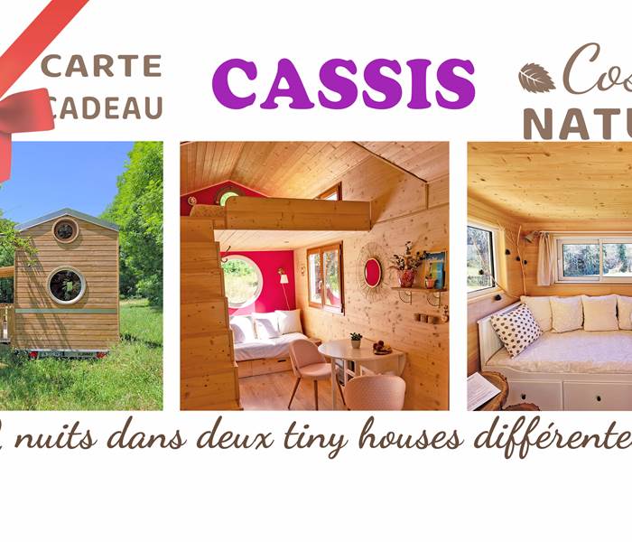 Sans titre