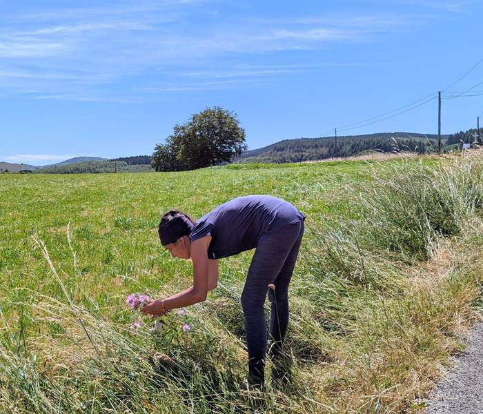 Cueillette d'Herbes Folles
