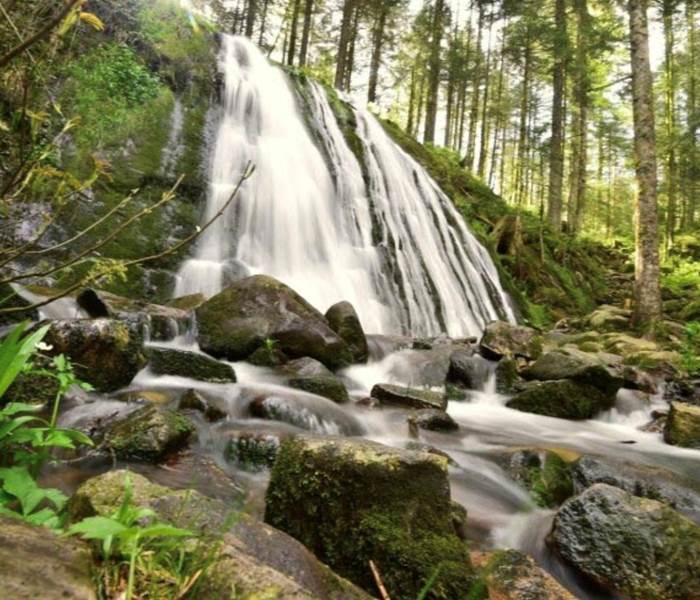Cascade de la Pissoire, Vosges