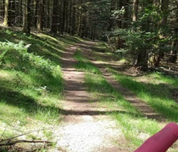 randonnéeenforêt-vtt-pédestre-hautecorrèze-activitésextérieurs