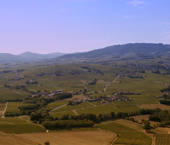 Les coteaux mâconnais et le sud de la Bourgogne
