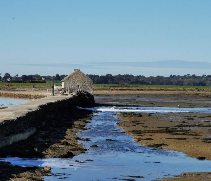 ile d'arz morbihan bretagne chambres d'hôtes bien être séjour repos ressourcement détente anti stress cure ayurvédique spa