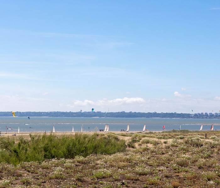 Char à voile