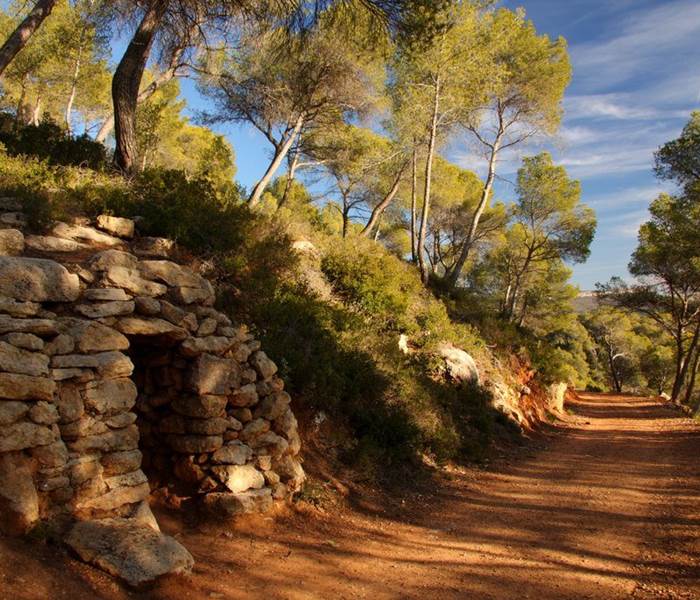 Carrières de Bibémus