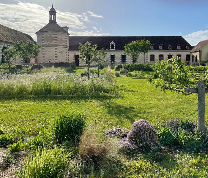 Depuis le jardin central