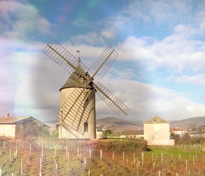 Le Beaujolais et son patrimoine