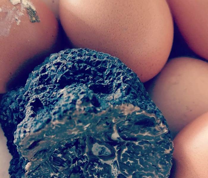 Brouillade aux Oeufs