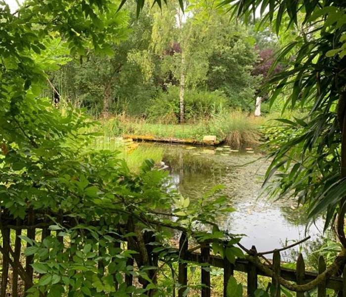 Le bassin