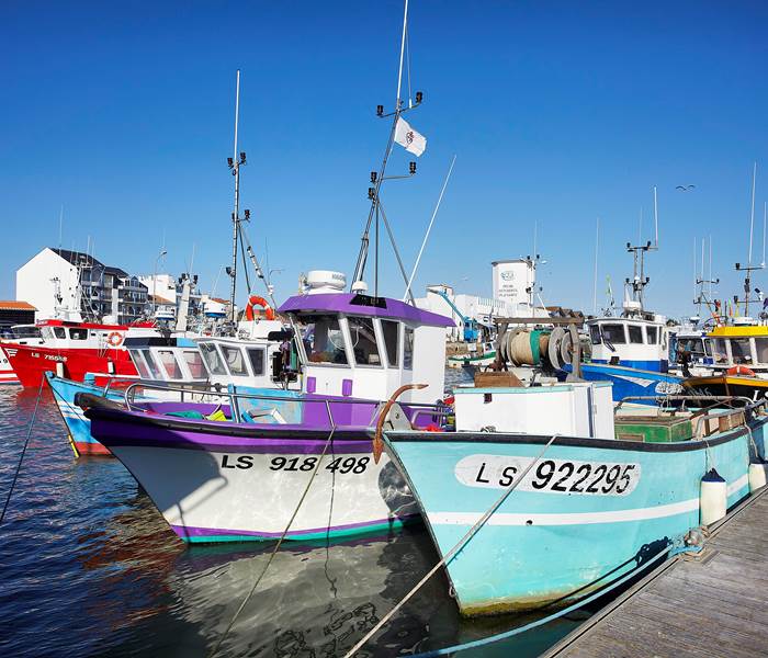 Port de p+¬che - St Gilles Croix de Vie