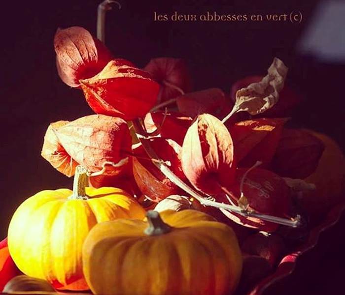 Automne inspiré