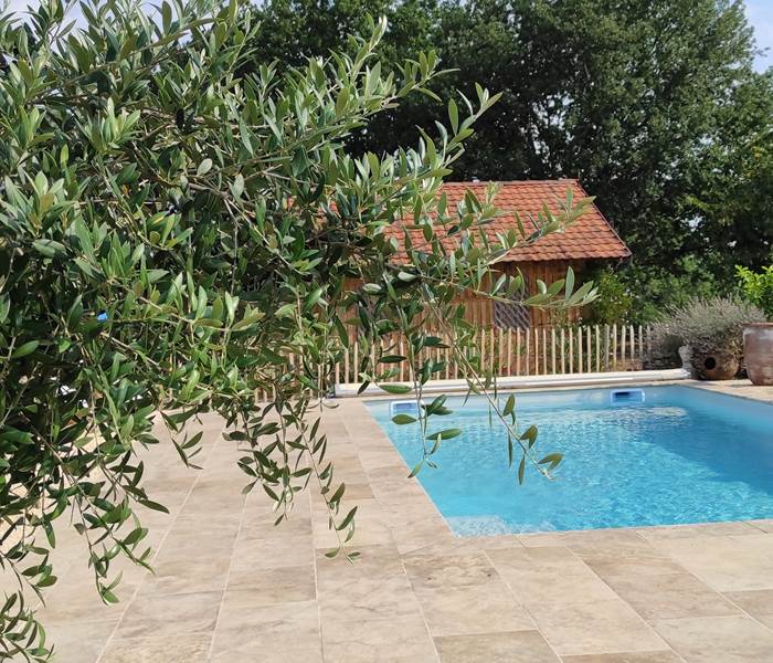 piscine d'eau salée  avec vue sur la bastide de Beaumont du Périgord