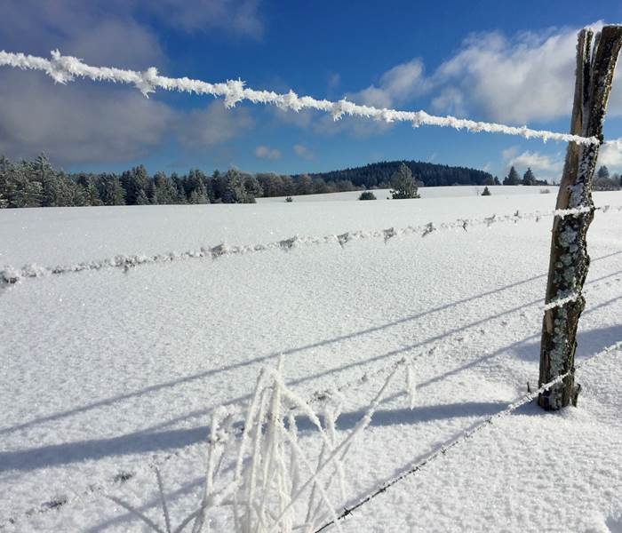 Montagne enneigée, Vosges