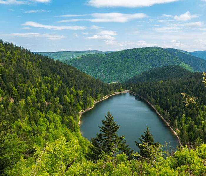 Vacances dans les Vosges : Détente, Nature et Logements insolites
