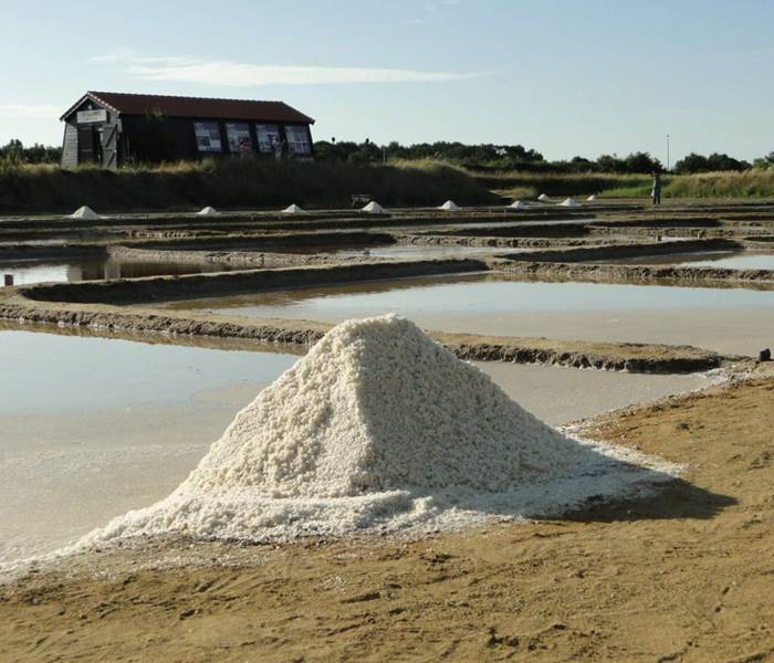 Port des Salines, les marais salants de l'île d'Oléron
