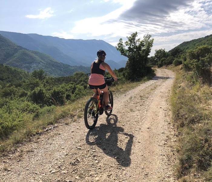 VTT avec vue sur le Mont Ventoux