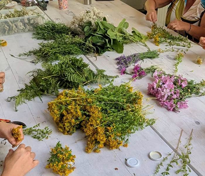 Herbes Sacrées