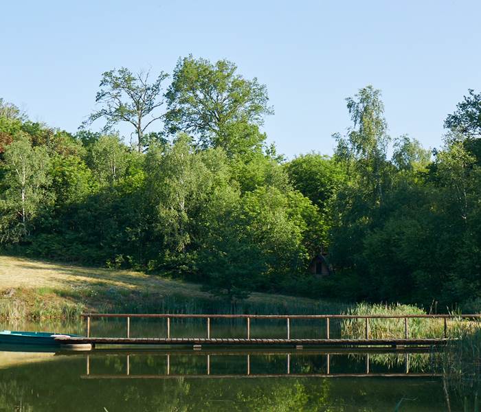les bois de saint Auvent l'étang