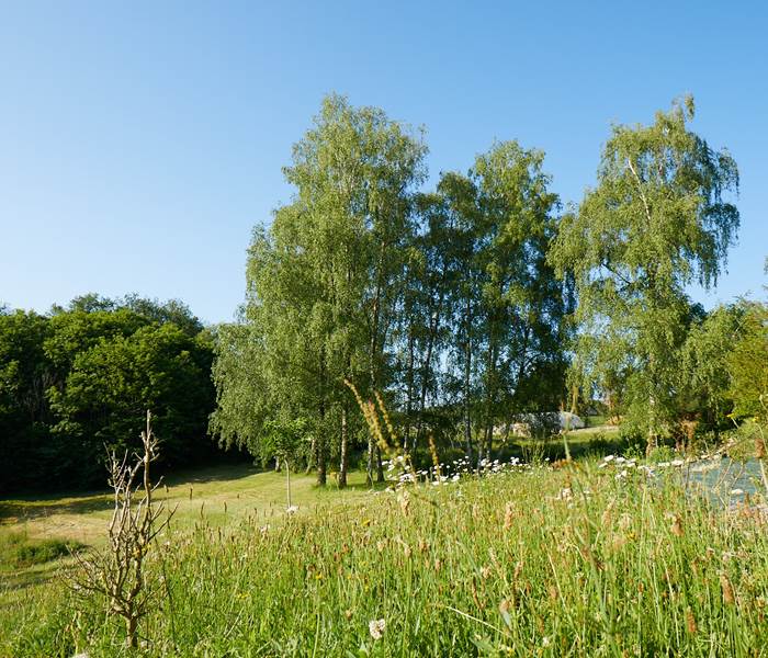 les bois de saint Auvent le jardin