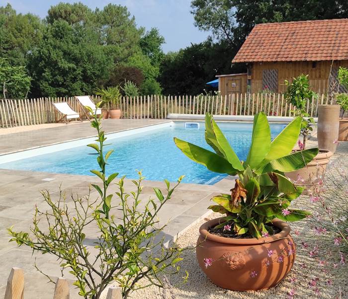 piscine d'eau salée  avec vue sur la bastide de Beaumont du Périgord