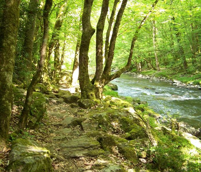 Panorama des Gorges de la Sioule en Auvergne