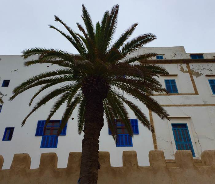 Essaouira