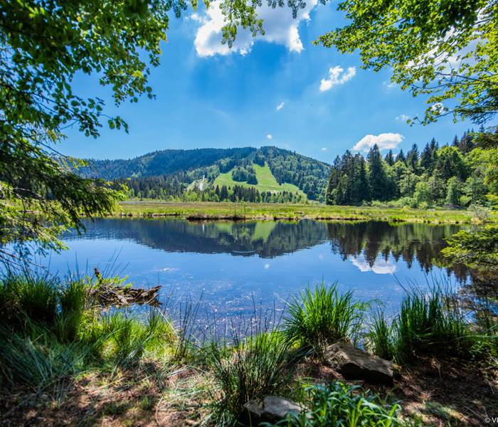 Lac du Lispach, La Bresse, Vosges