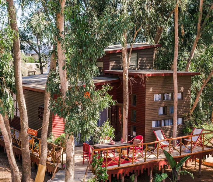 riad Baoussala Essaouira - Suite Taabiha - cabane dans les arbres - trees house