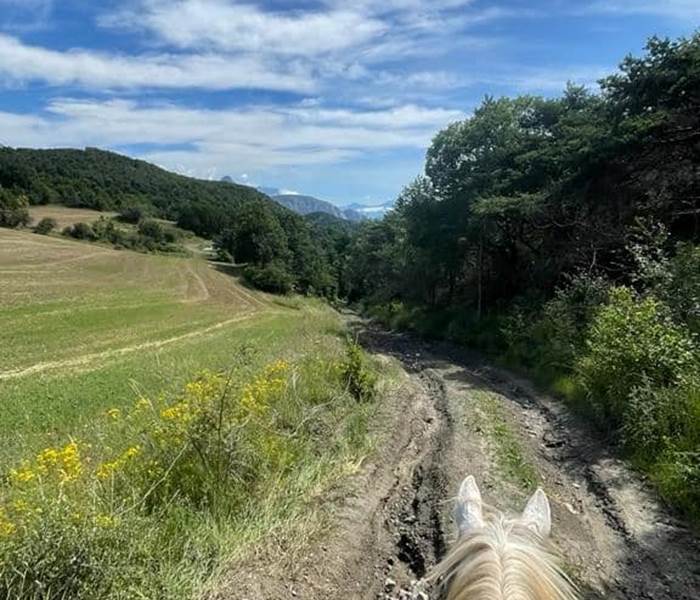 Ecuries les Pies du Sud - Rochebrune