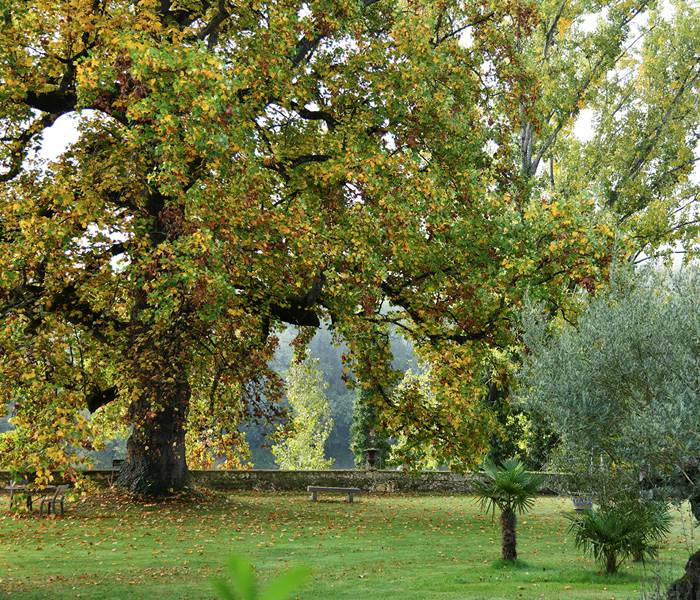 DSC_0764 copie
