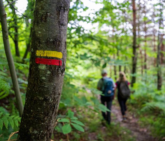 balisagecircuitpedestre-hautecorreze-foret-tourisme-bienêtre