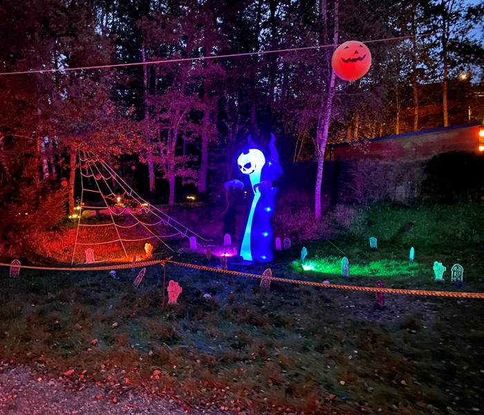 OFFRE SPÉCIALE HALLOWEEN 🎃 👻