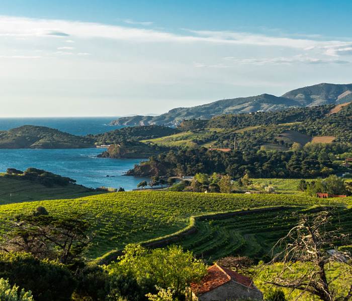 le vignoble-occitanie-gaillac-marssac-albi