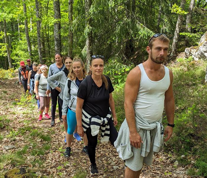 Marche en conscience en forêt