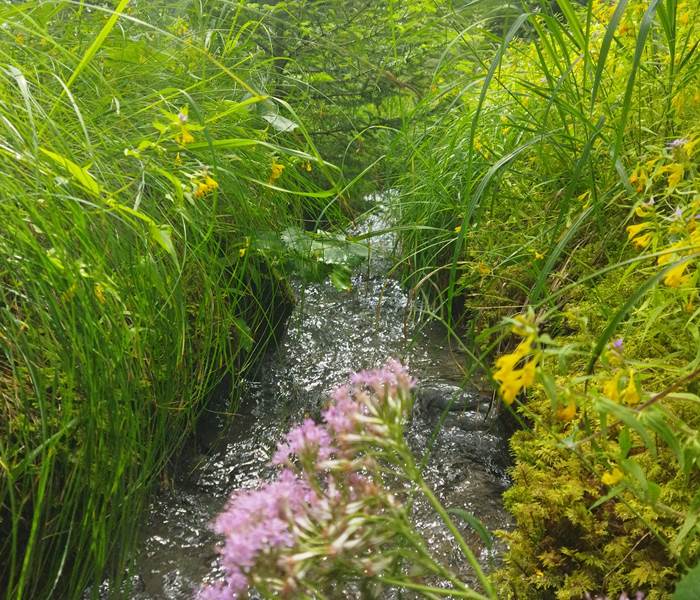 Canal de la Pisse