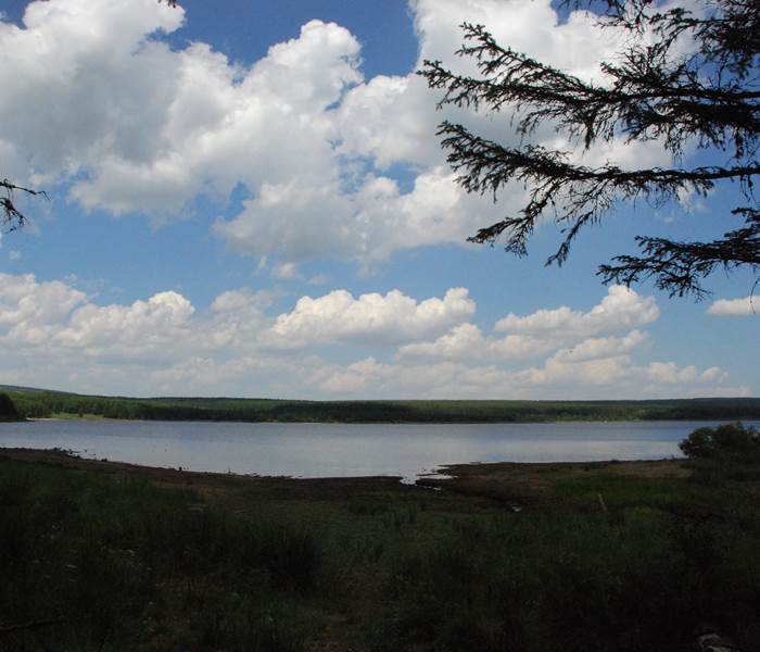 Une vue du lac de Charpal