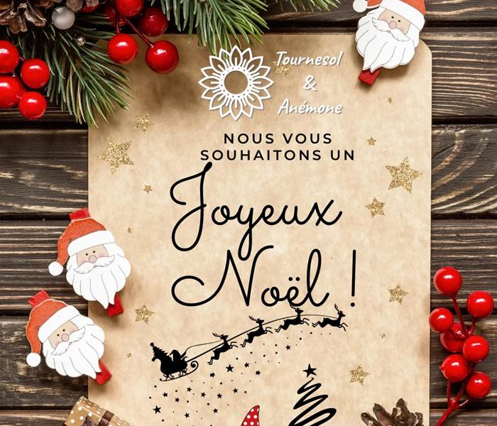 Joyeux Noël-bonnesfêtes-sarlat-dordogne-location