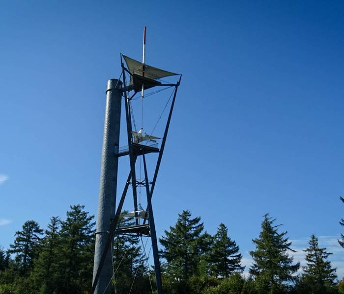 Tour du Millénaire
