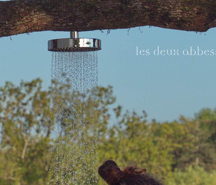 Douche chaude nichée dans un arbre
