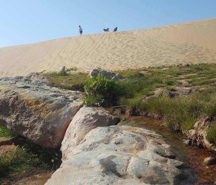 Riad Baoussala - promenade à la cascade de Sidi Mbark