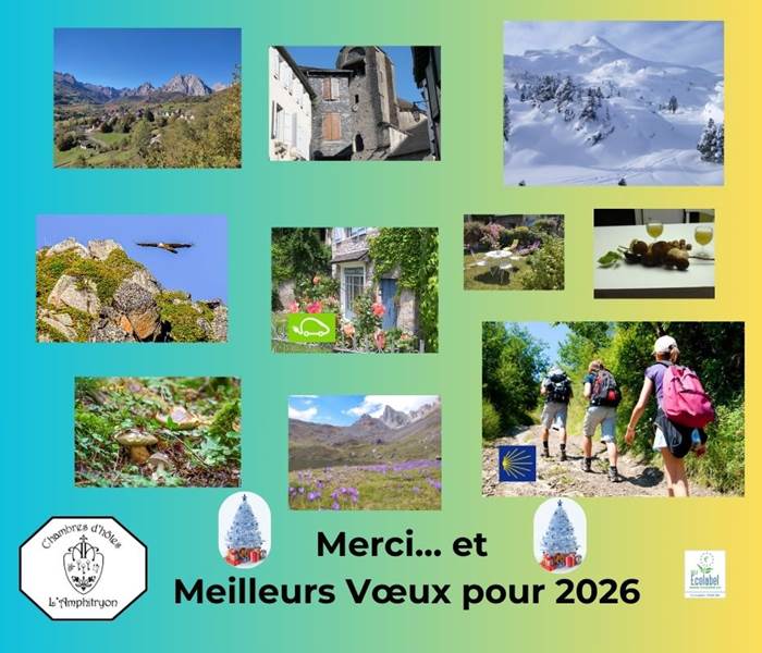 Voeux 2026