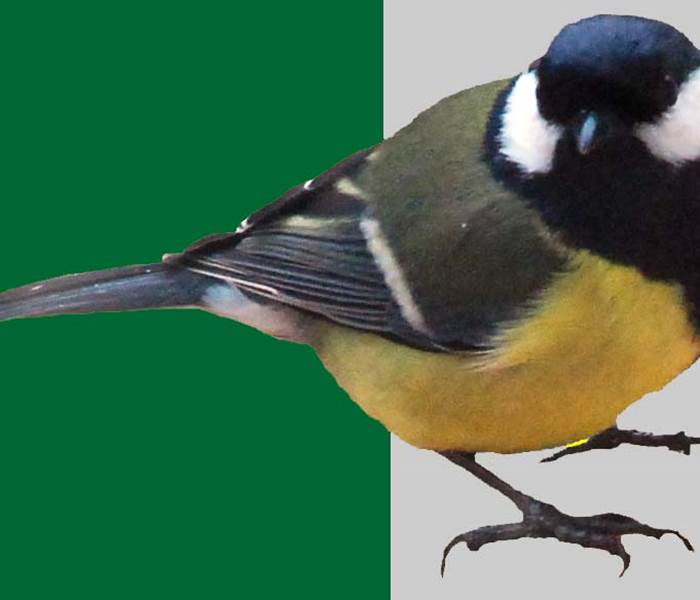 "Je suis là également pour vous accueillir!"