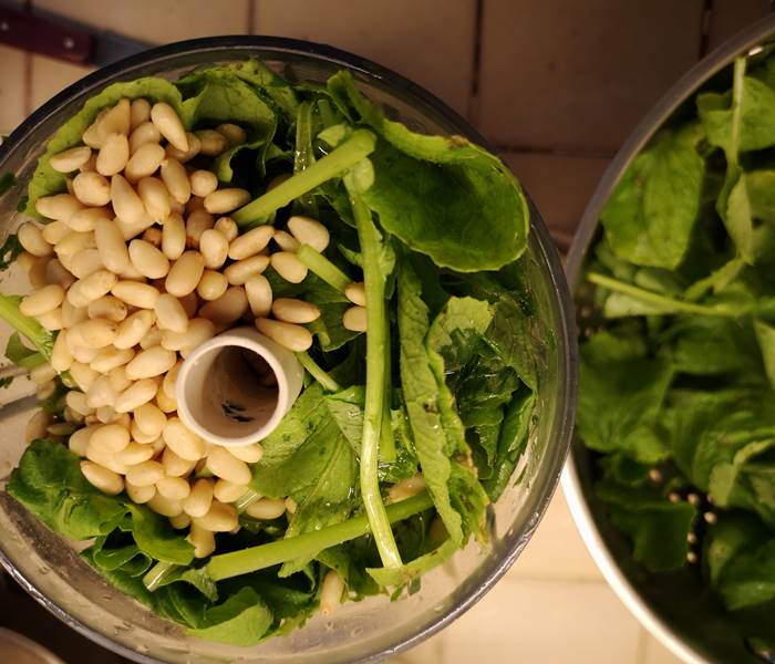 Pesto de Roquette