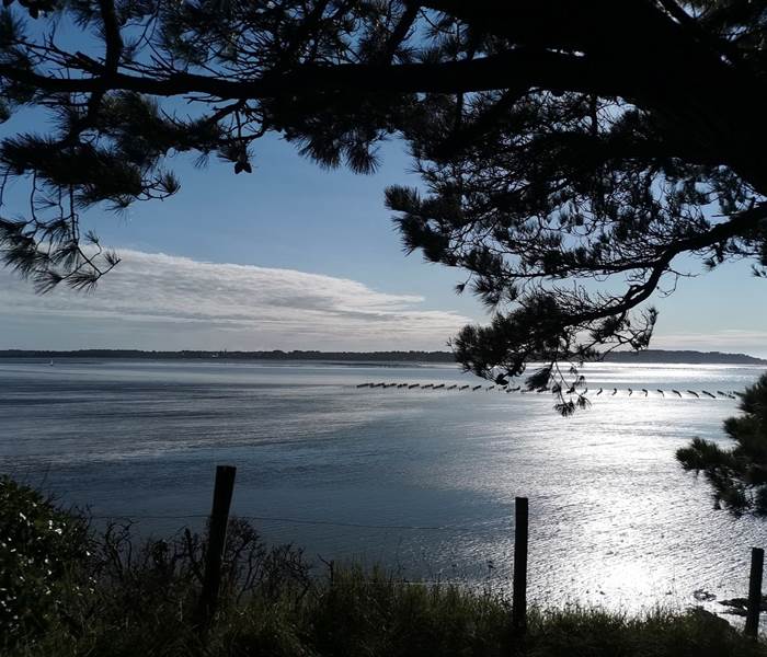 billiers plage du crapeau gr 34 morbihan bretagne maison d'hôtes bien être séjour repos ressourcement détente anti stress cure ayurvédique spa